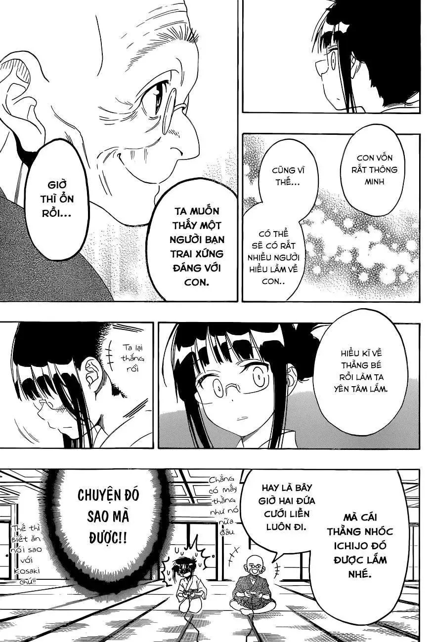 Nisekoi Chapter 114 - Trang 19