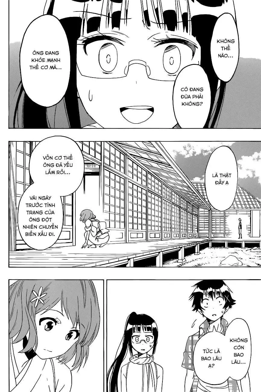 Nisekoi Chapter 114 - Trang 4