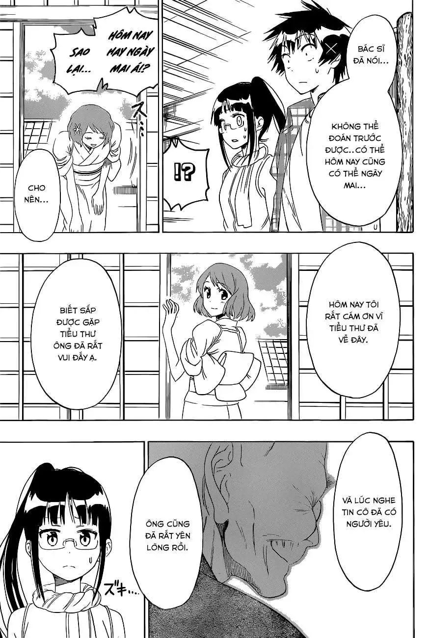 Nisekoi Chapter 114 - Trang 5