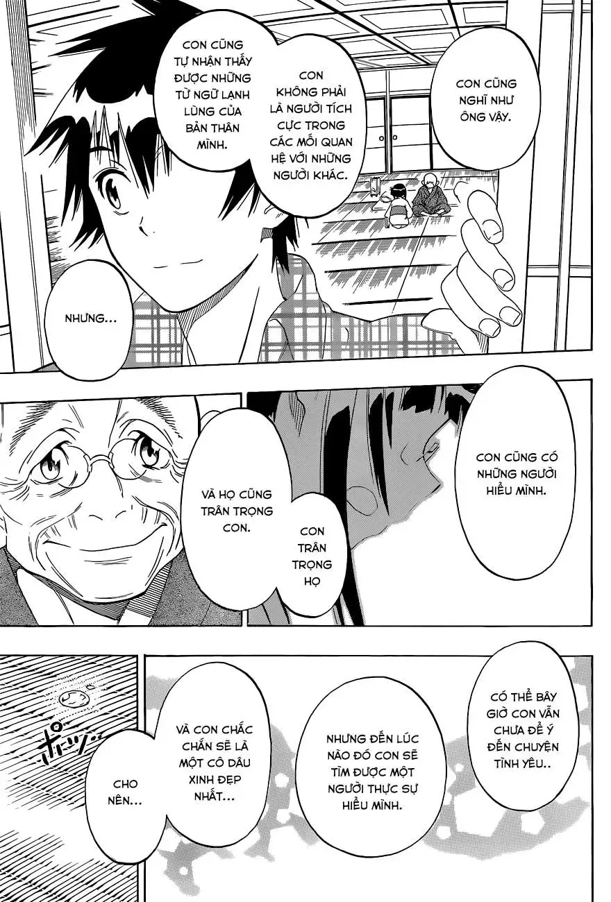 Nisekoi Chapter 115 - Trang 11