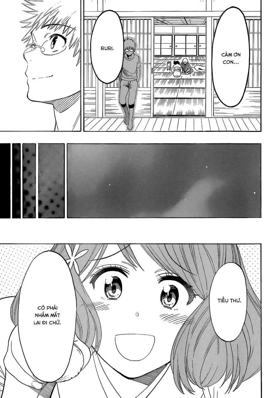 Nisekoi Chapter 115 - Trang 13