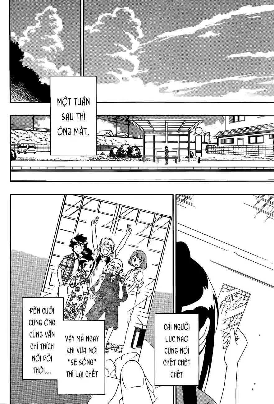 Nisekoi Chapter 115 - Trang 18