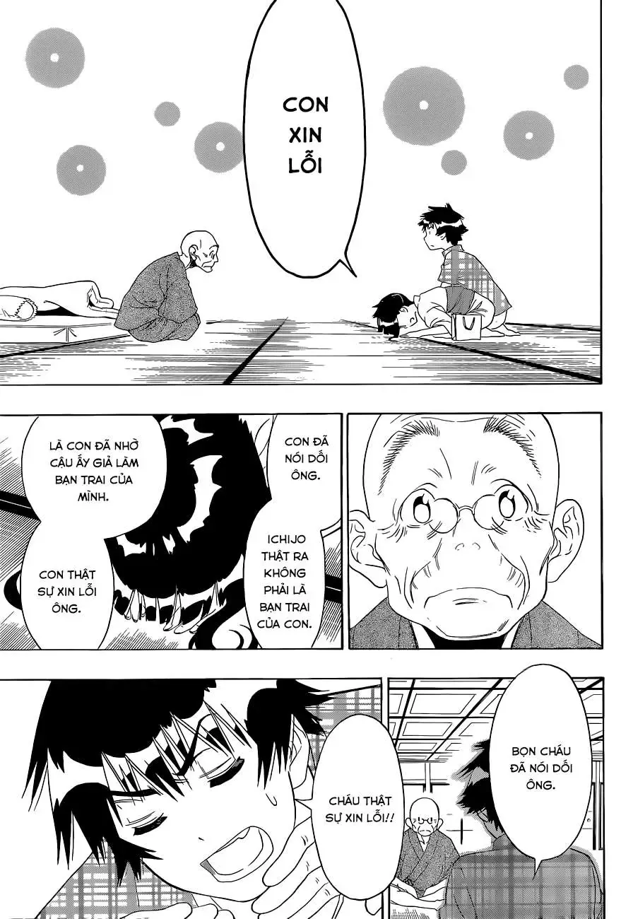 Nisekoi Chapter 115 - Trang 7