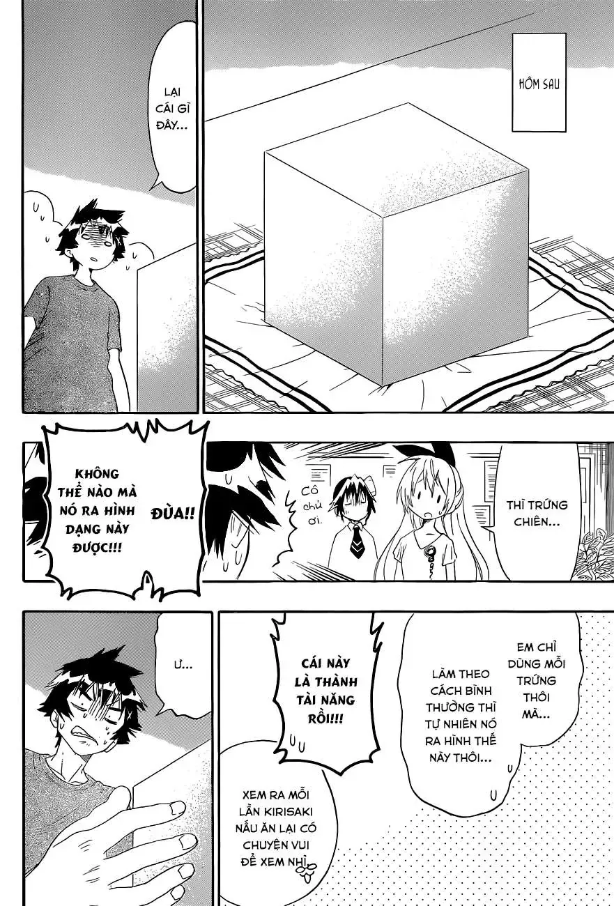 Nisekoi Chapter 116 - Trang 14