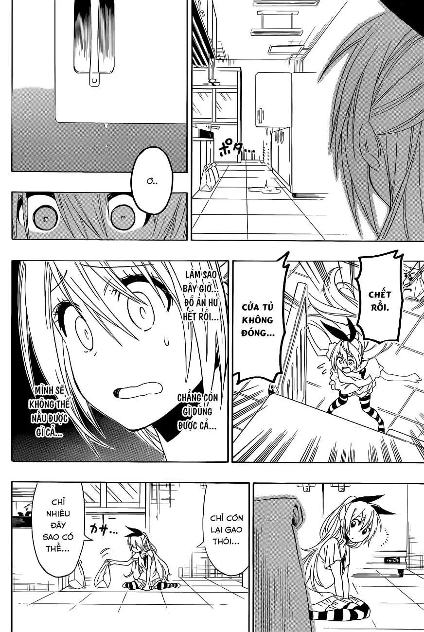 Nisekoi Chapter 116 - Trang 18