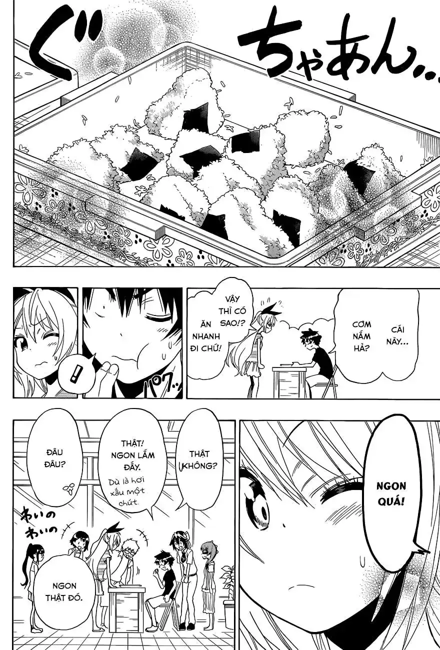 Nisekoi Chapter 116 - Trang 20