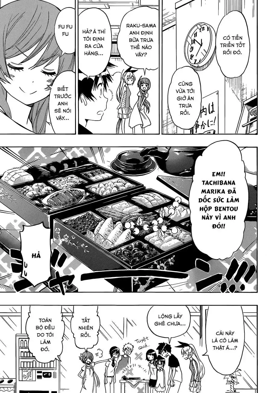 Nisekoi Chapter 116 - Trang 5