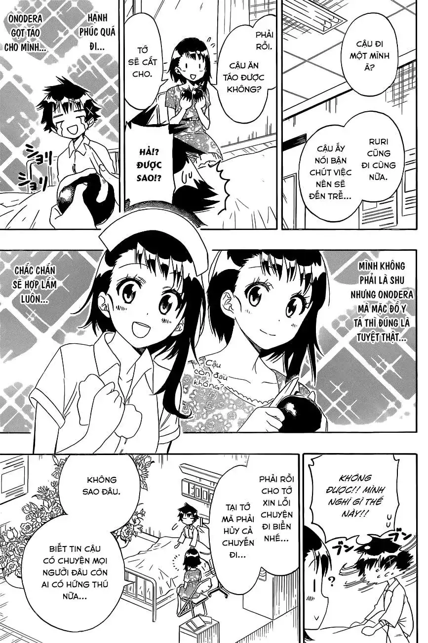 Nisekoi Chapter 117 - Trang 11