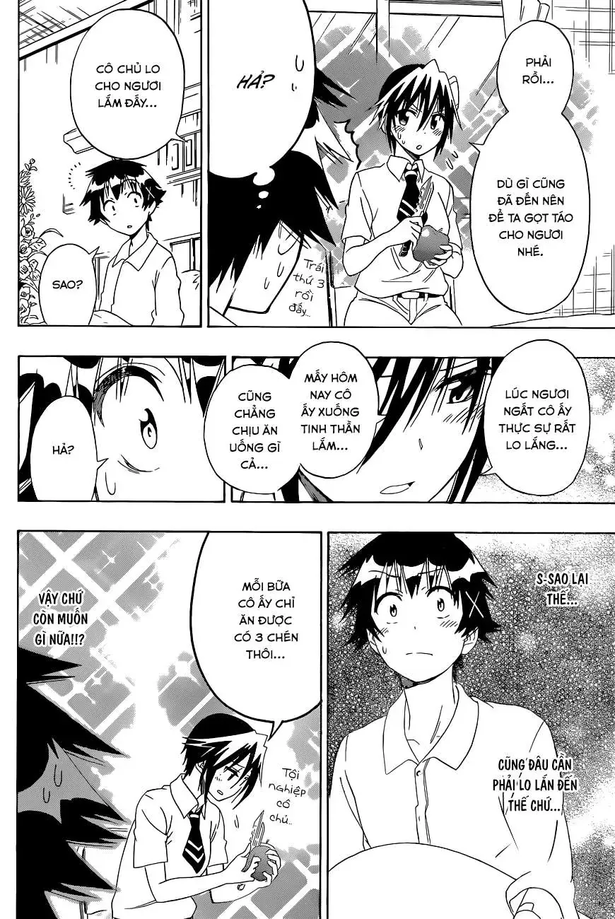 Nisekoi Chapter 117 - Trang 14
