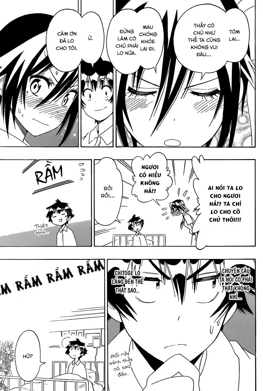 Nisekoi Chapter 117 - Trang 15