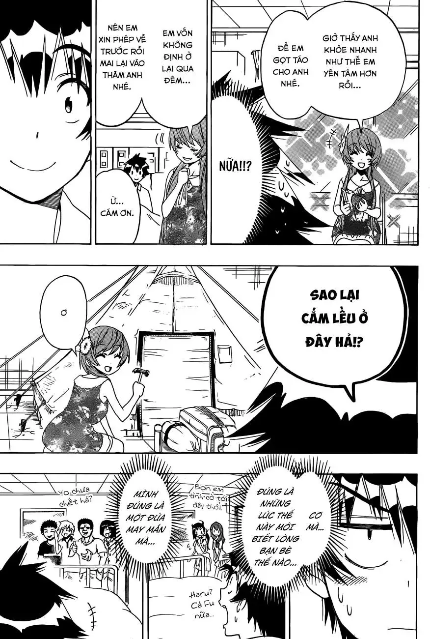 Nisekoi Chapter 117 - Trang 17