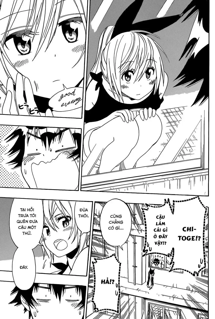 Nisekoi Chapter 117 - Trang 19