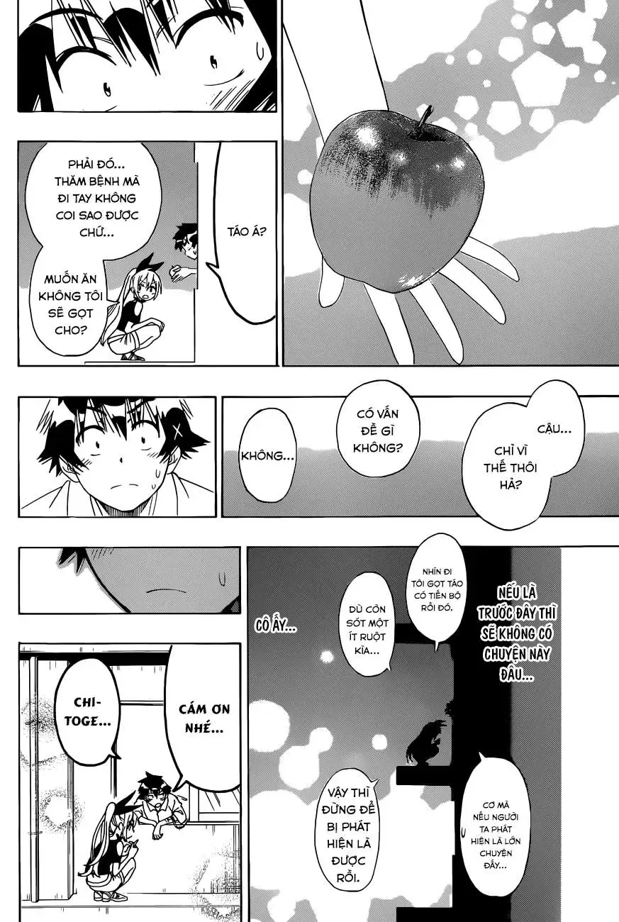 Nisekoi Chapter 117 - Trang 20