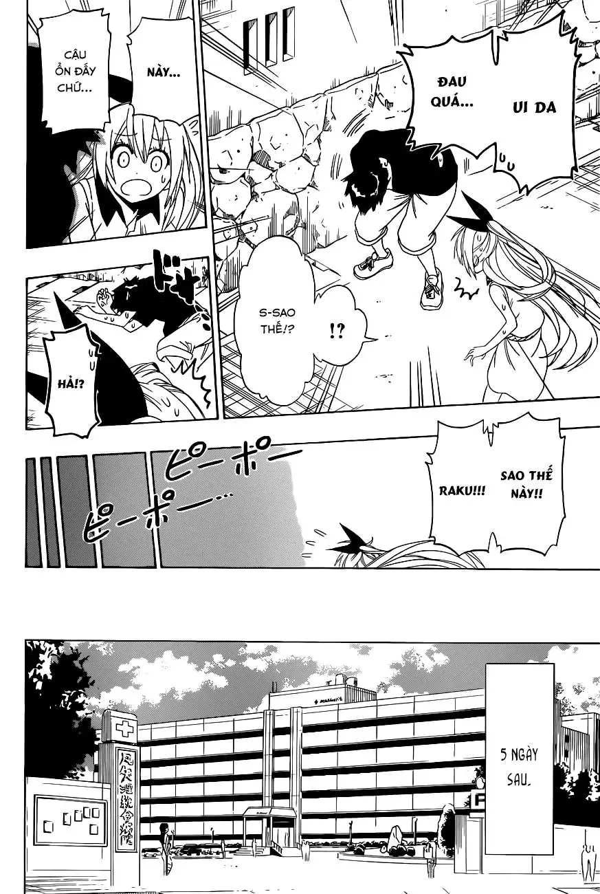 Nisekoi Chapter 117 - Trang 4