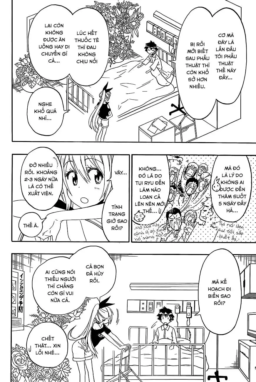 Nisekoi Chapter 117 - Trang 6