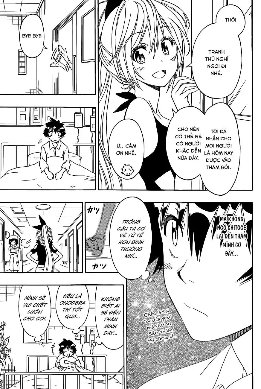 Nisekoi Chapter 117 - Trang 7