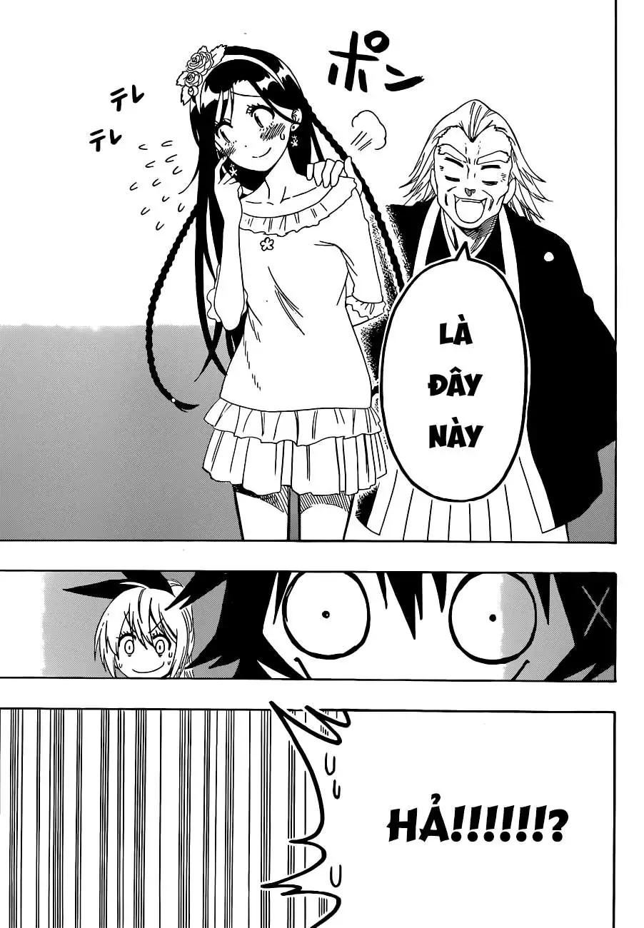 Nisekoi Chapter 118 - Trang 15