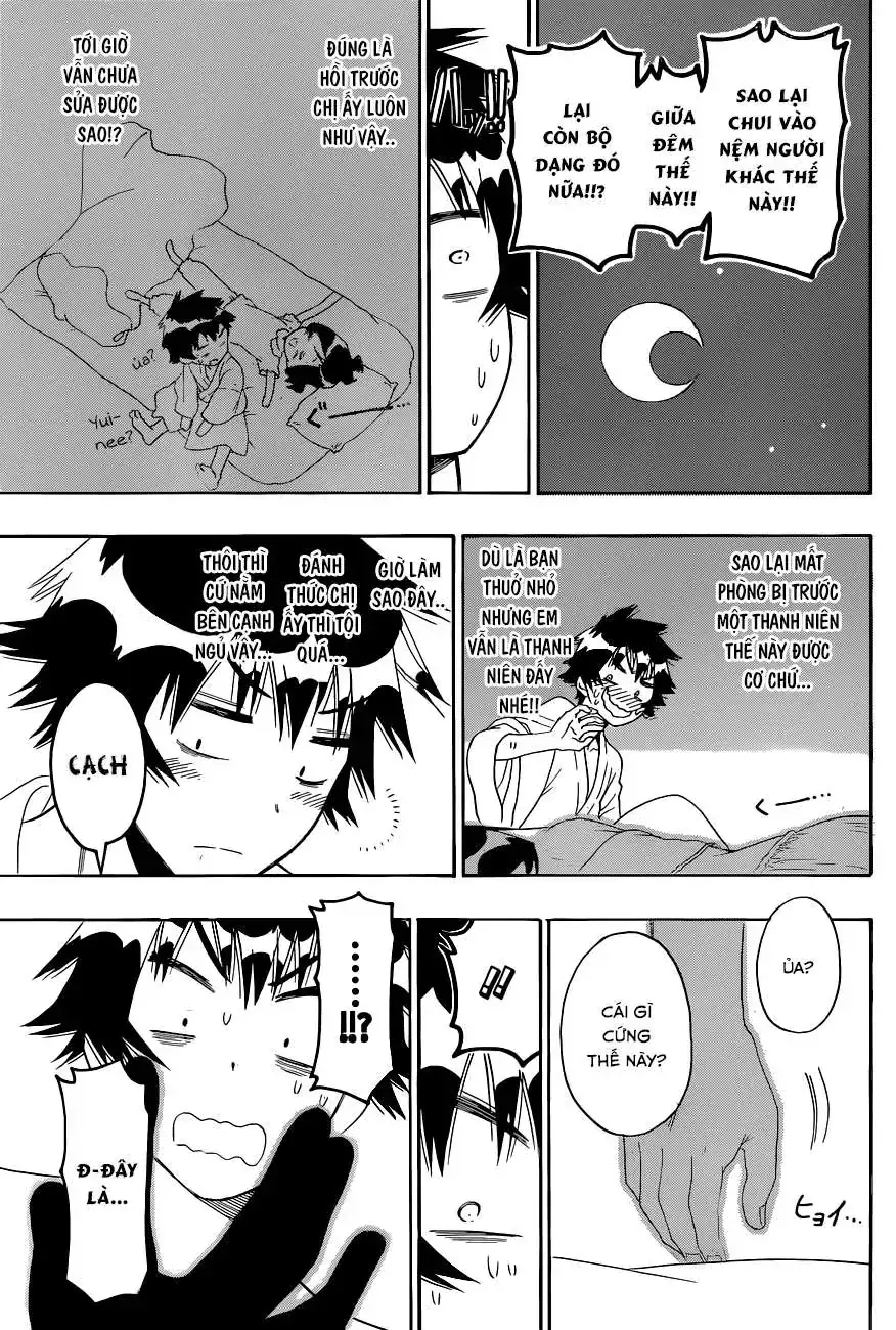Nisekoi Chapter 119 - Trang 19