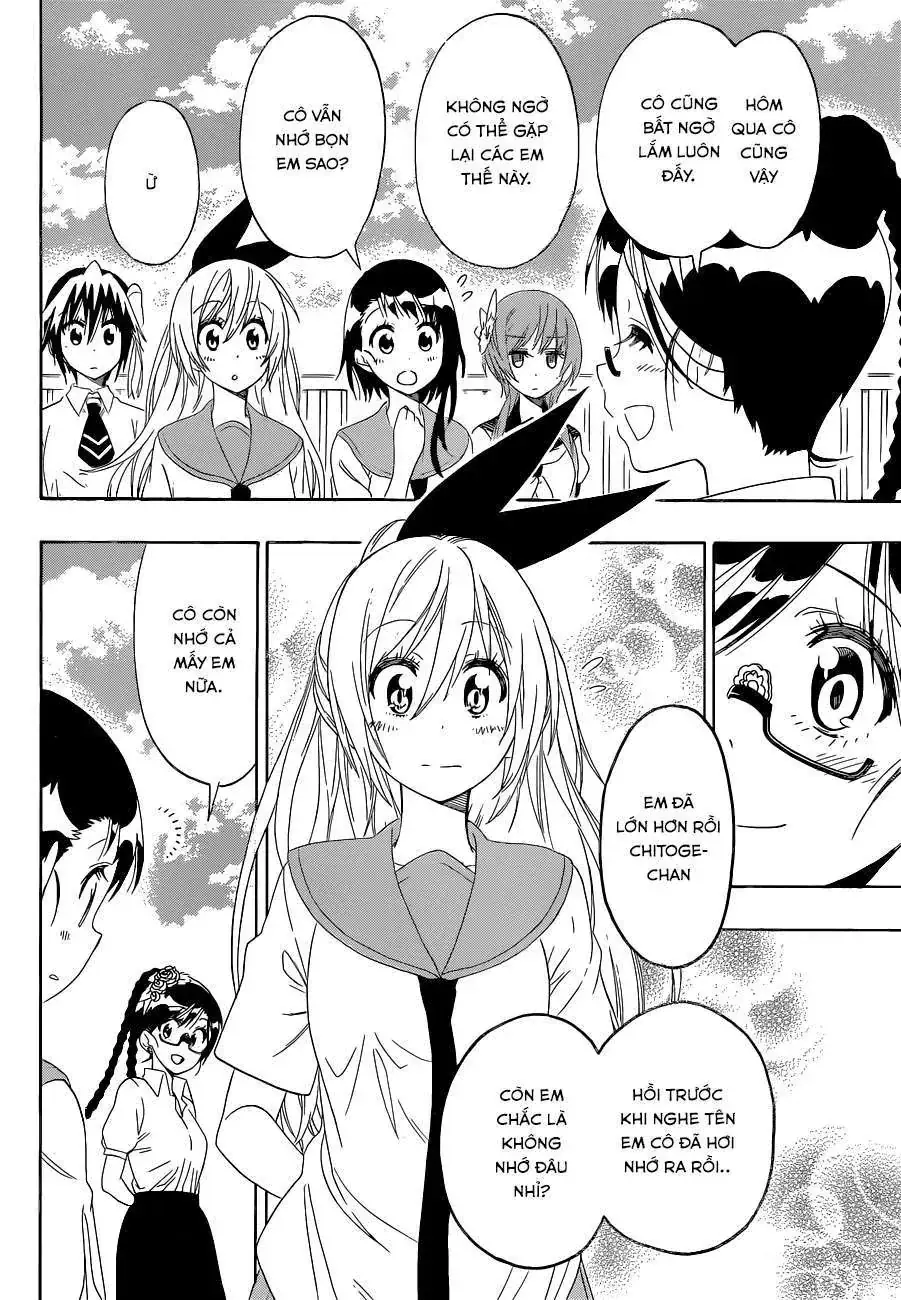 Nisekoi Chapter 120 - Trang 10