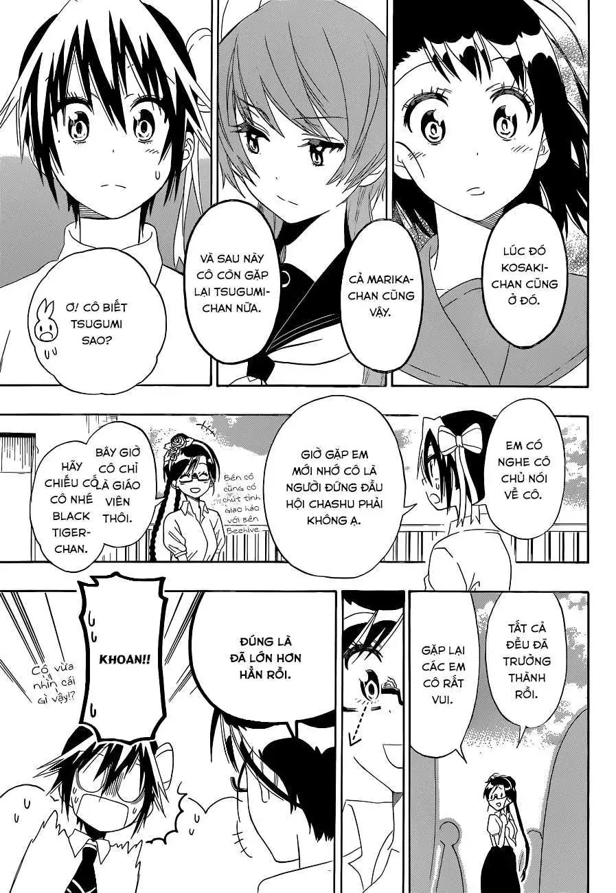 Nisekoi Chapter 120 - Trang 11