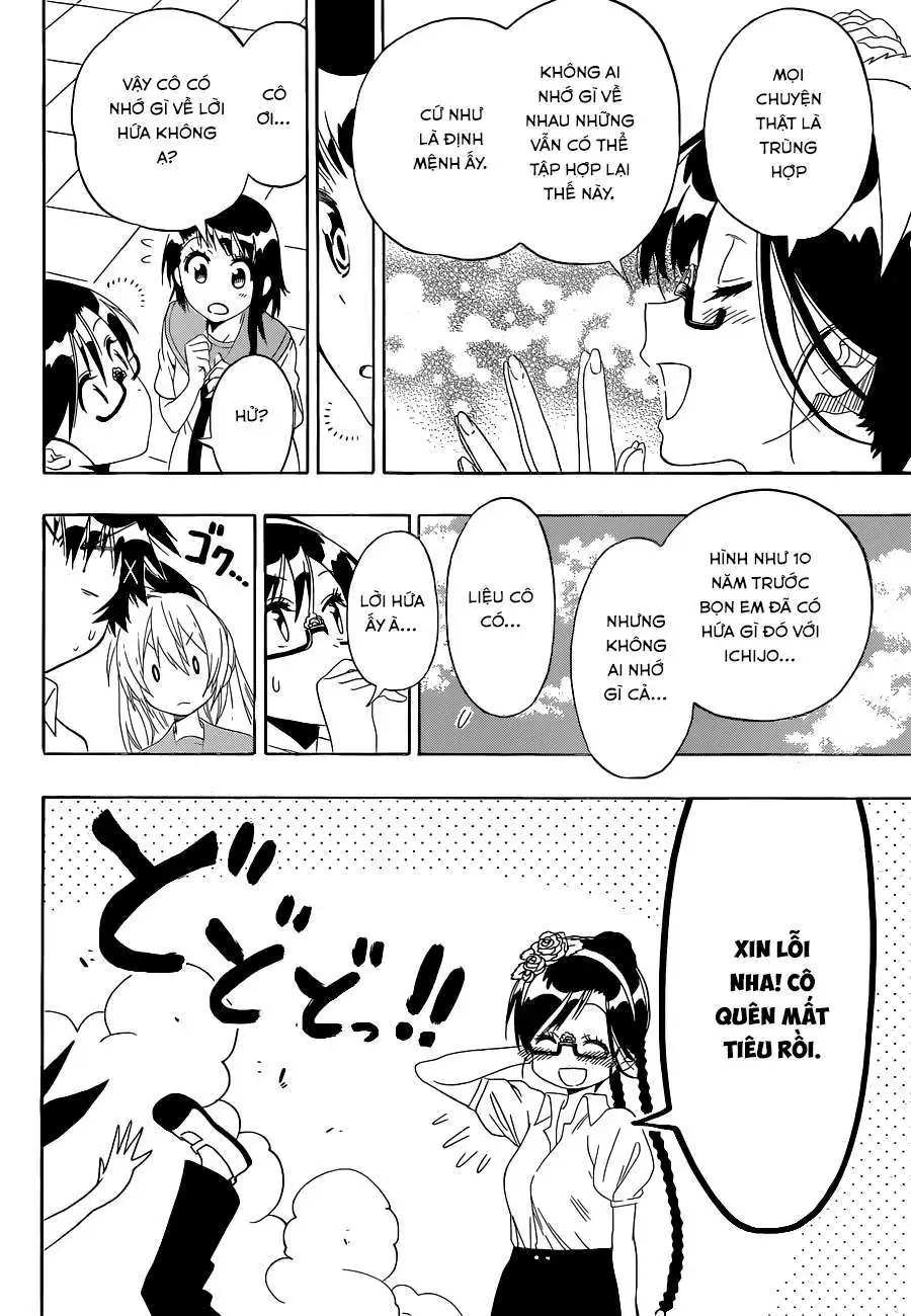 Nisekoi Chapter 120 - Trang 12