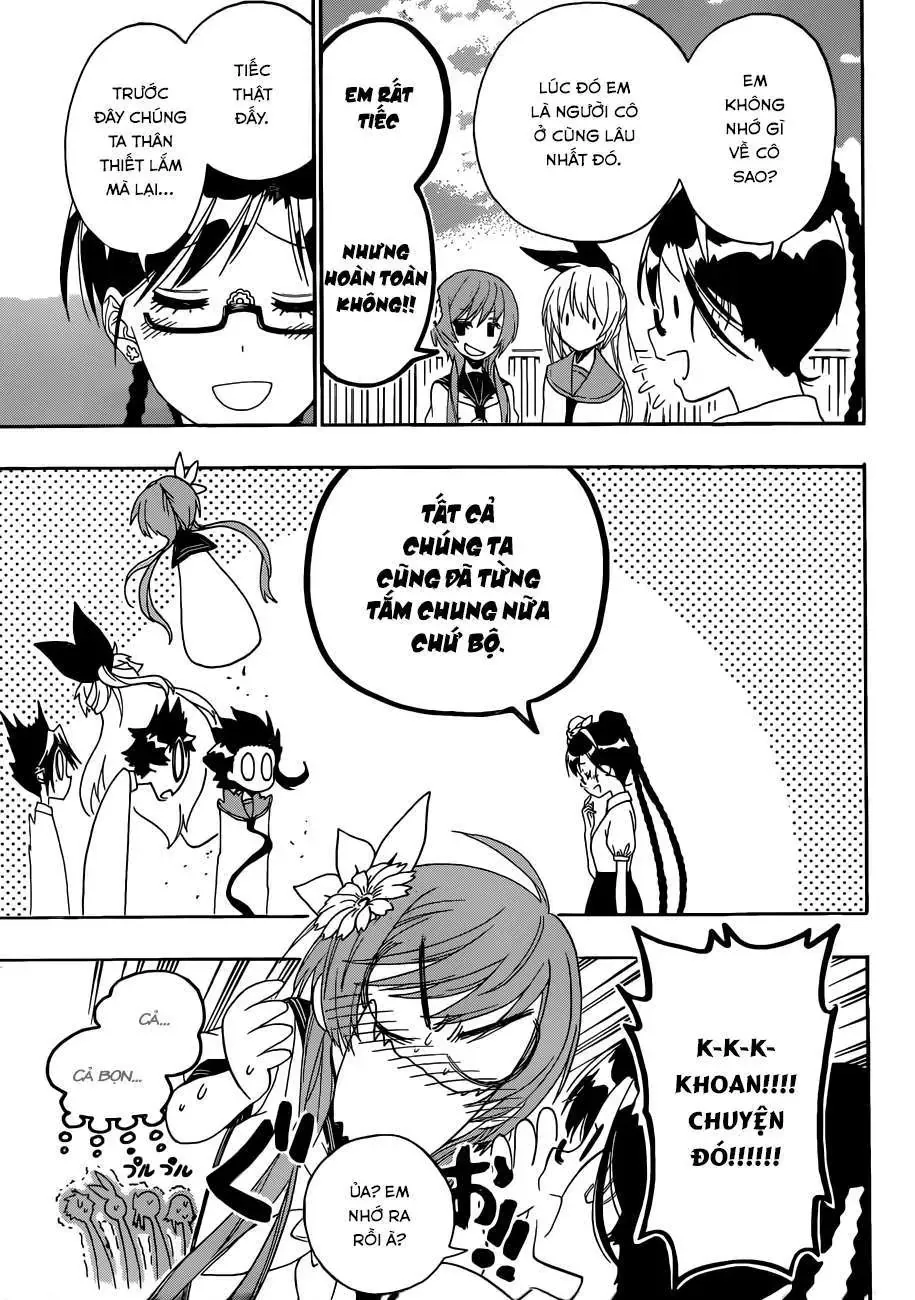 Nisekoi Chapter 120 - Trang 15