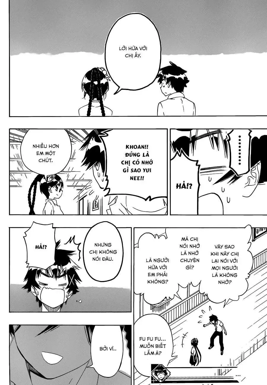 Nisekoi Chapter 120 - Trang 20