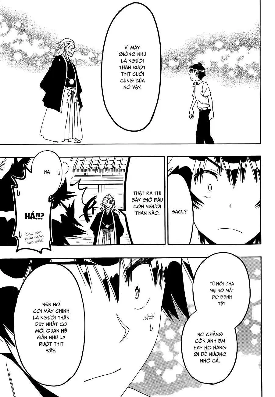 Nisekoi Chapter 121 - Trang 19