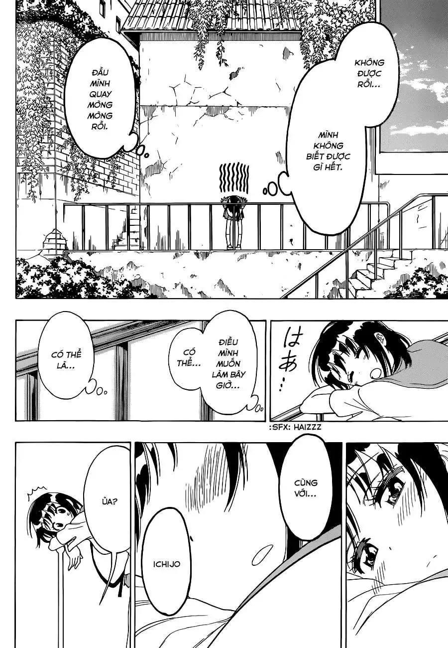 Nisekoi Chapter 123 - Trang 14