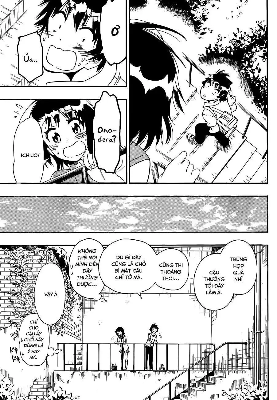 Nisekoi Chapter 123 - Trang 15