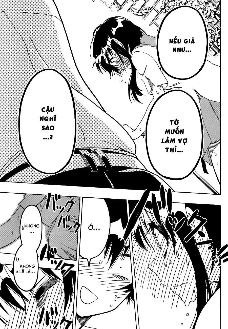 Nisekoi Chapter 123 - Trang 19