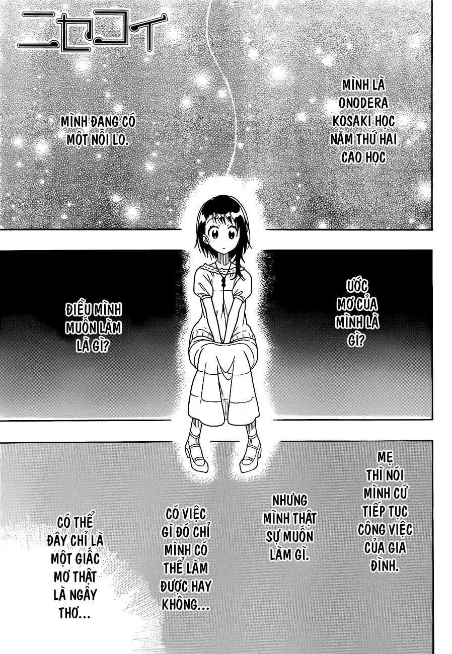 Nisekoi Chapter 123 - Trang 3