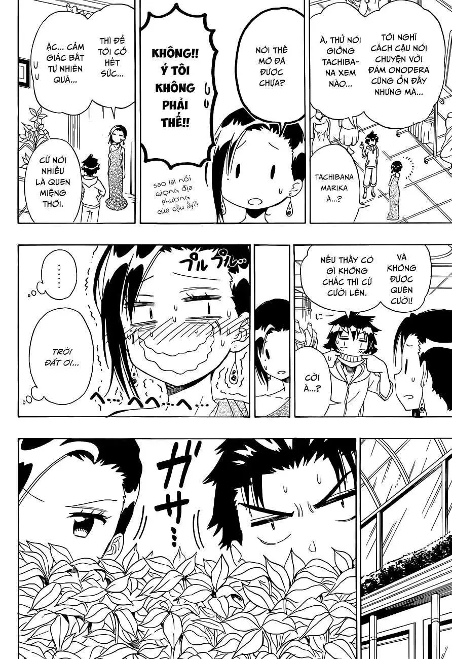 Nisekoi Chapter 124 - Trang 14