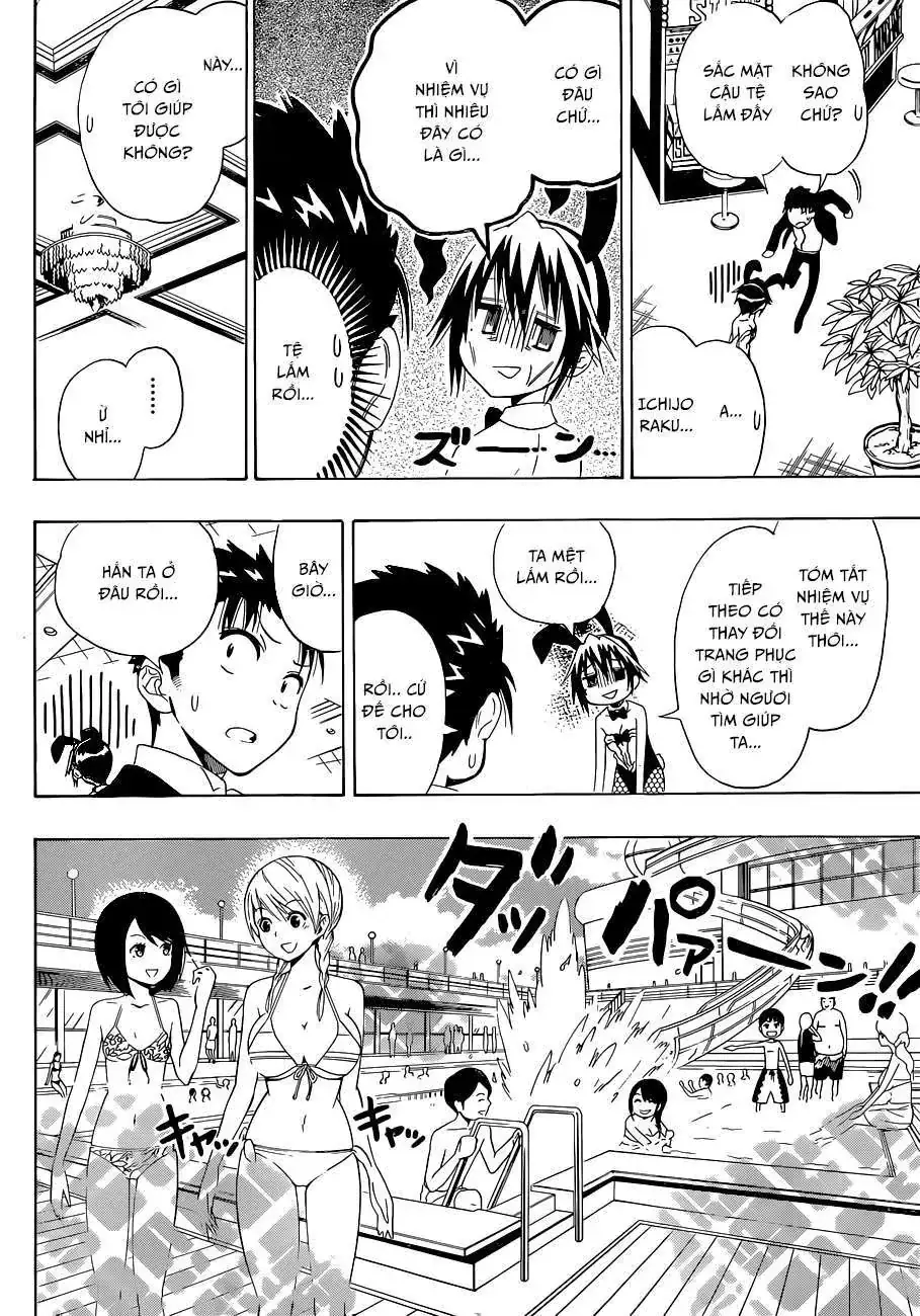 Nisekoi Chapter 125 - Trang 8