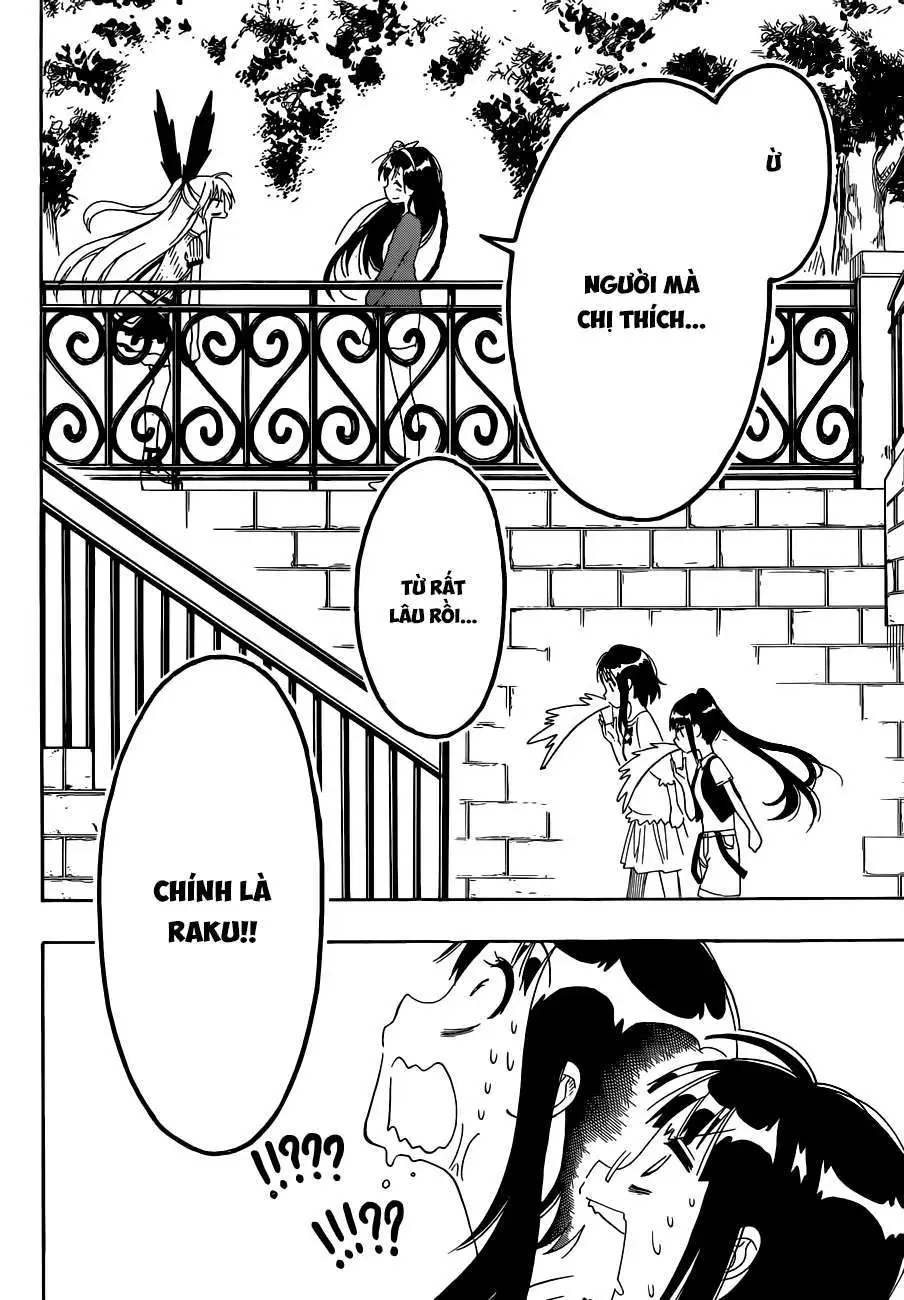 Nisekoi Chapter 126 - Trang 14