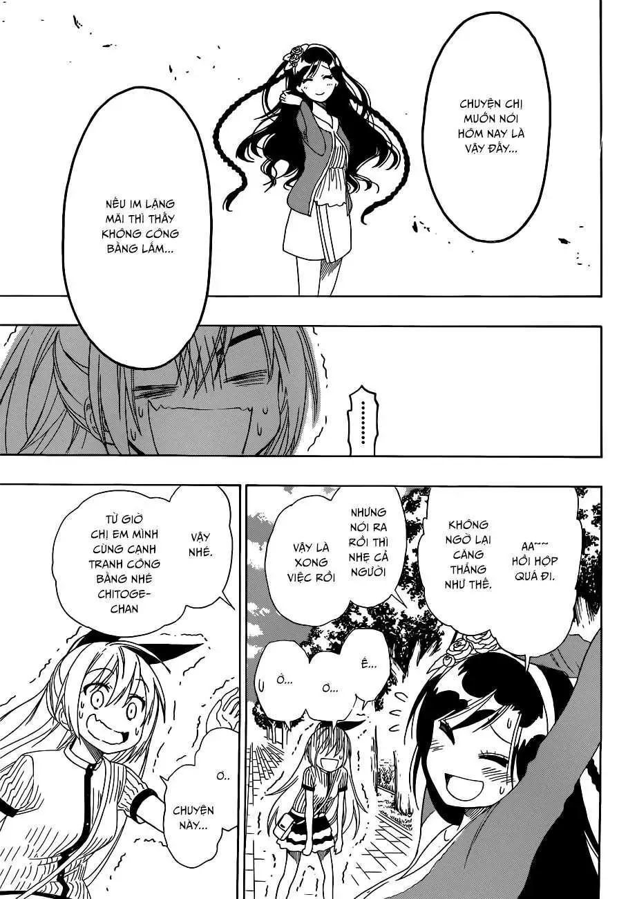 Nisekoi Chapter 126 - Trang 15