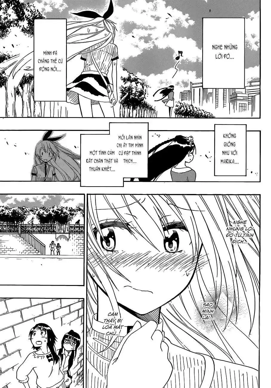 Nisekoi Chapter 126 - Trang 17