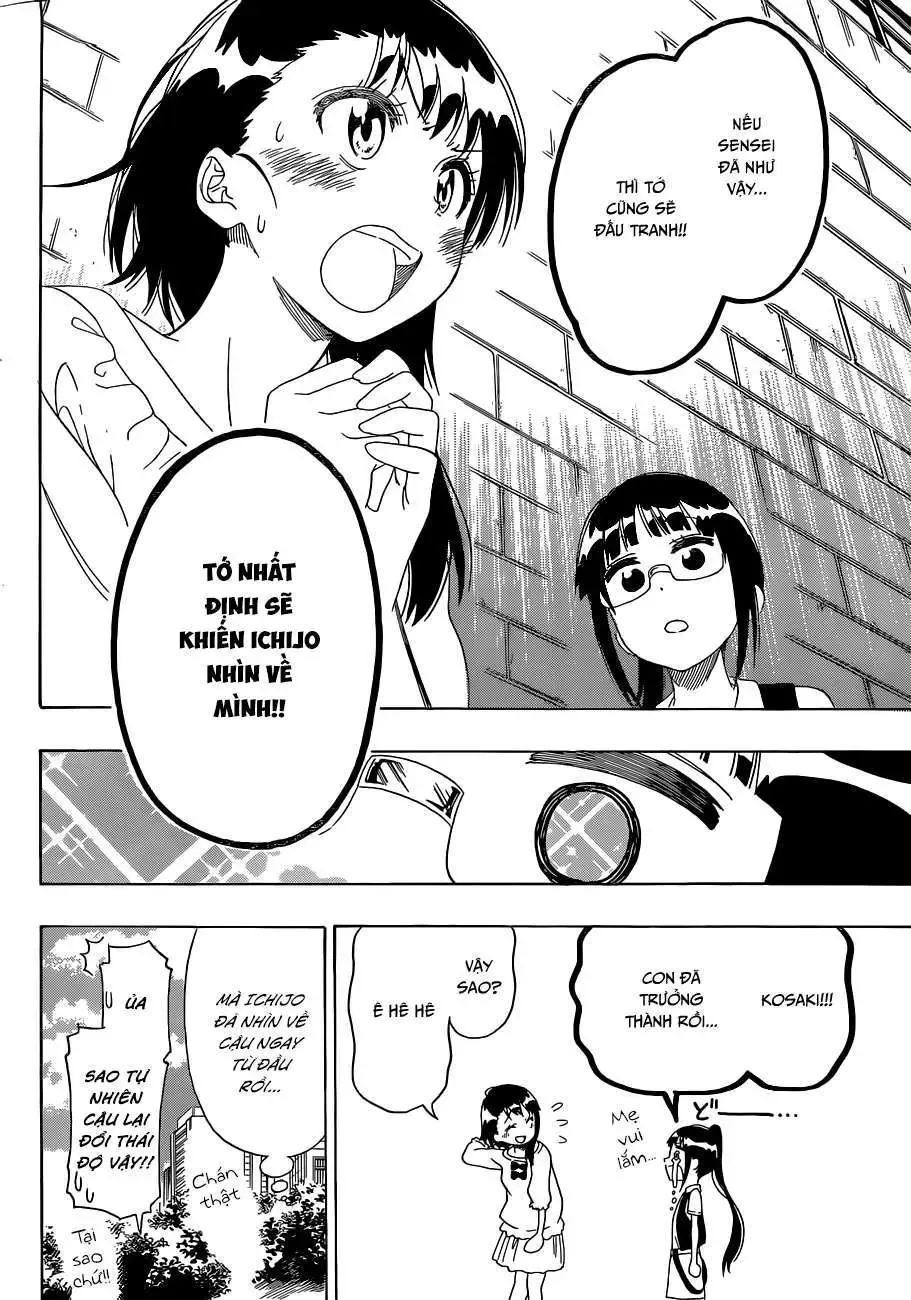 Nisekoi Chapter 126 - Trang 20