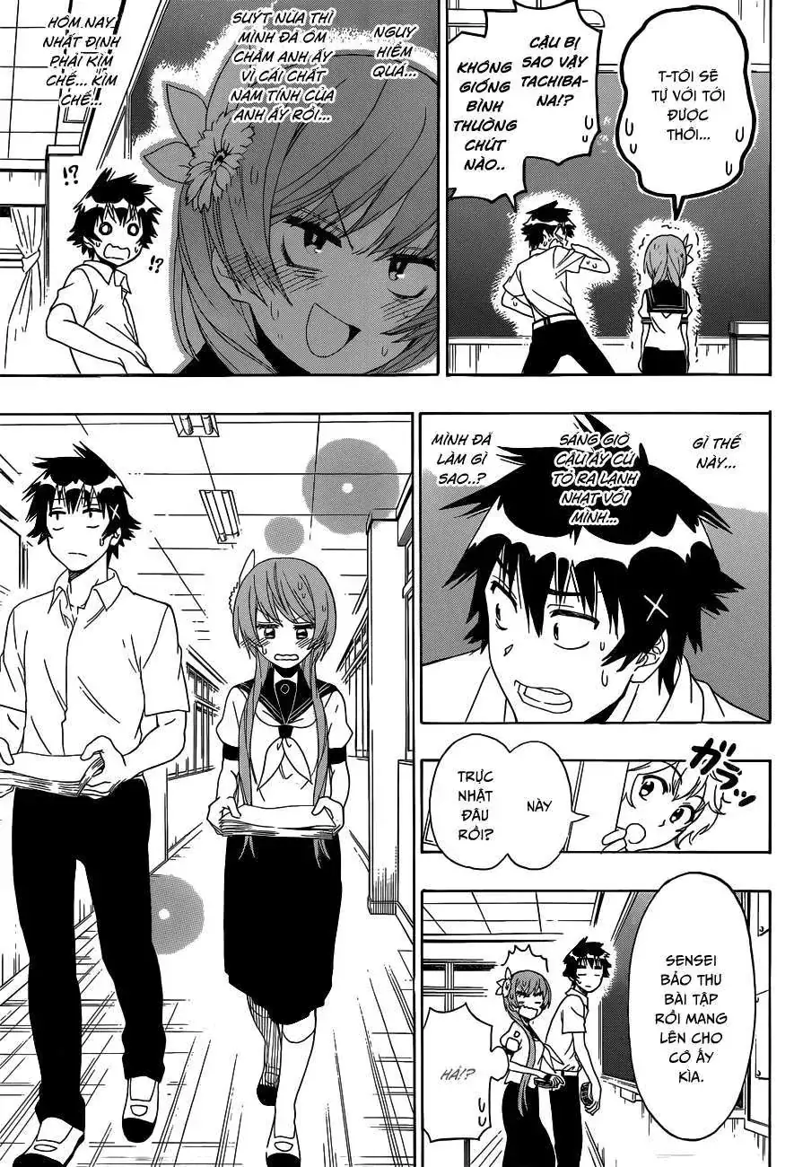 Nisekoi Chapter 129 - Trang 11