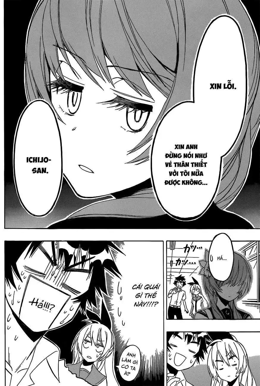 Nisekoi Chapter 129 - Trang 4