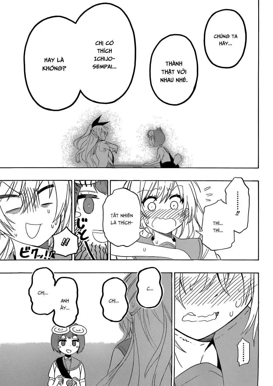 Nisekoi Chapter 130 - Trang 19