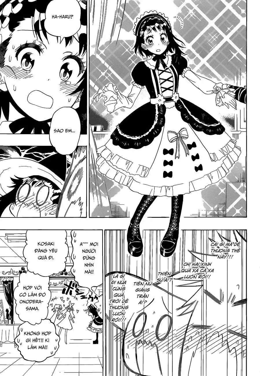 Nisekoi Chapter 131 - Trang 11