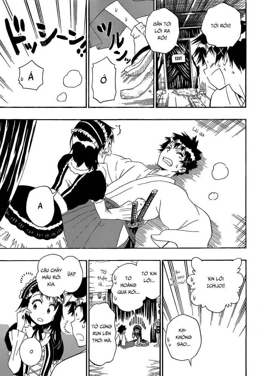 Nisekoi Chapter 131 - Trang 17