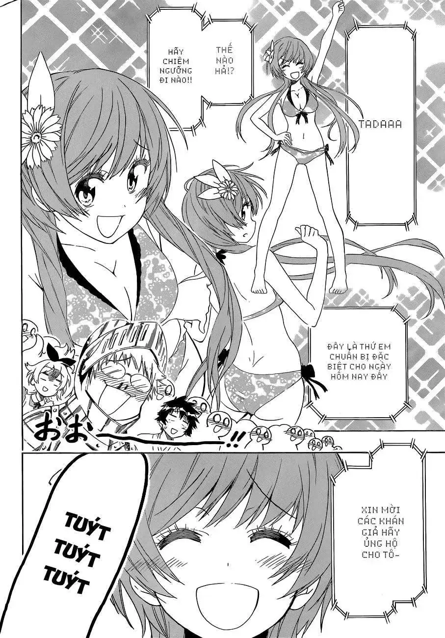 Nisekoi Chapter 132 - Trang 20
