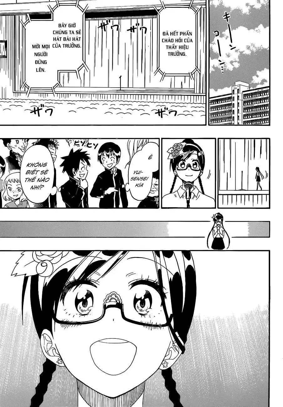 Nisekoi Chapter 135 - Trang 19