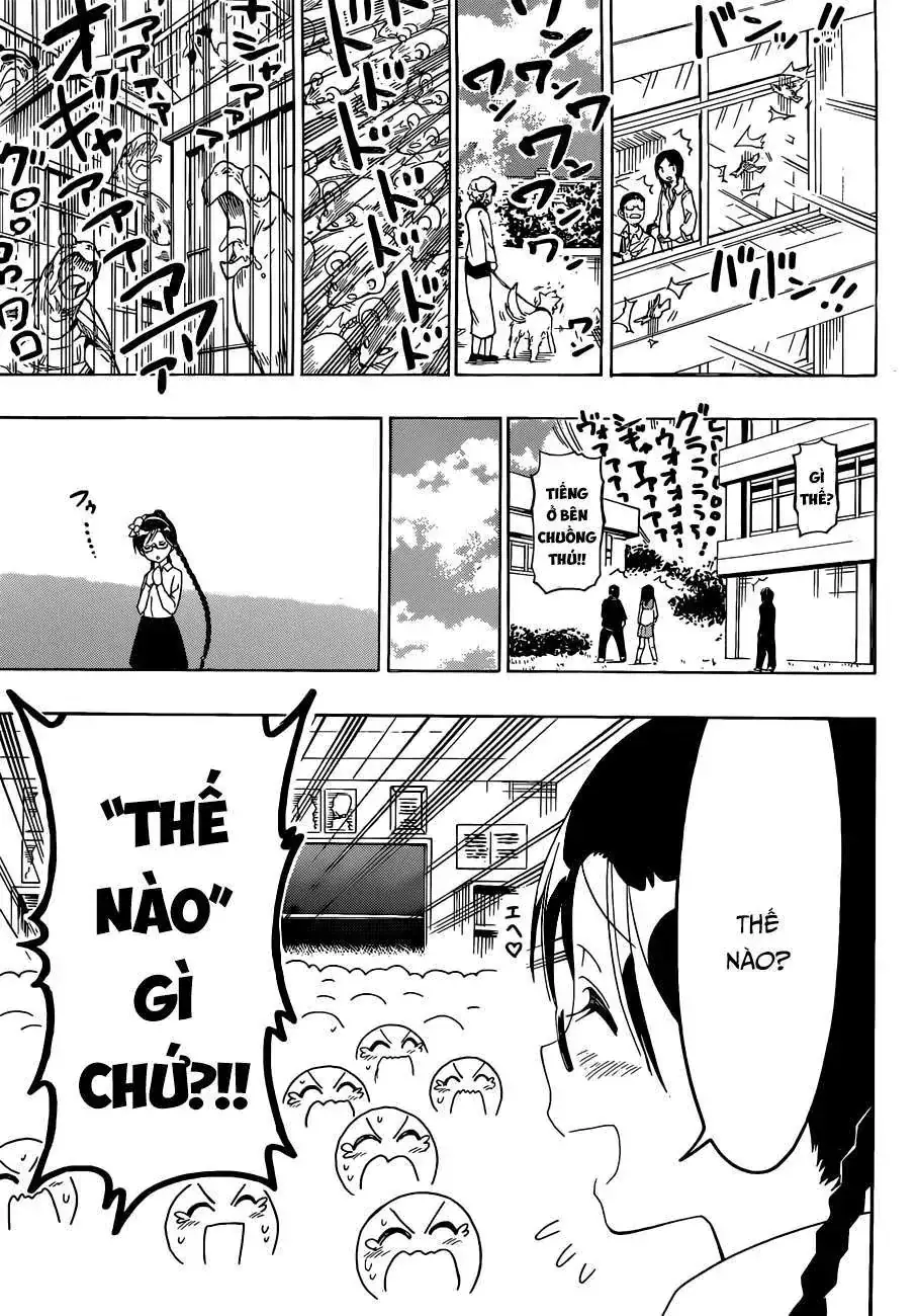 Nisekoi Chapter 135 - Trang 7