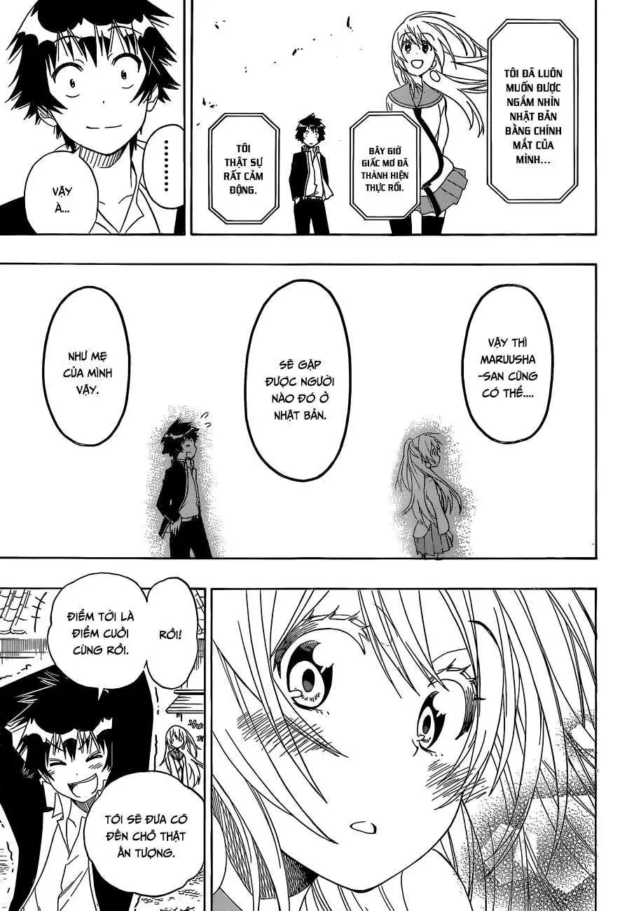 Nisekoi Chapter 137 - Trang 19