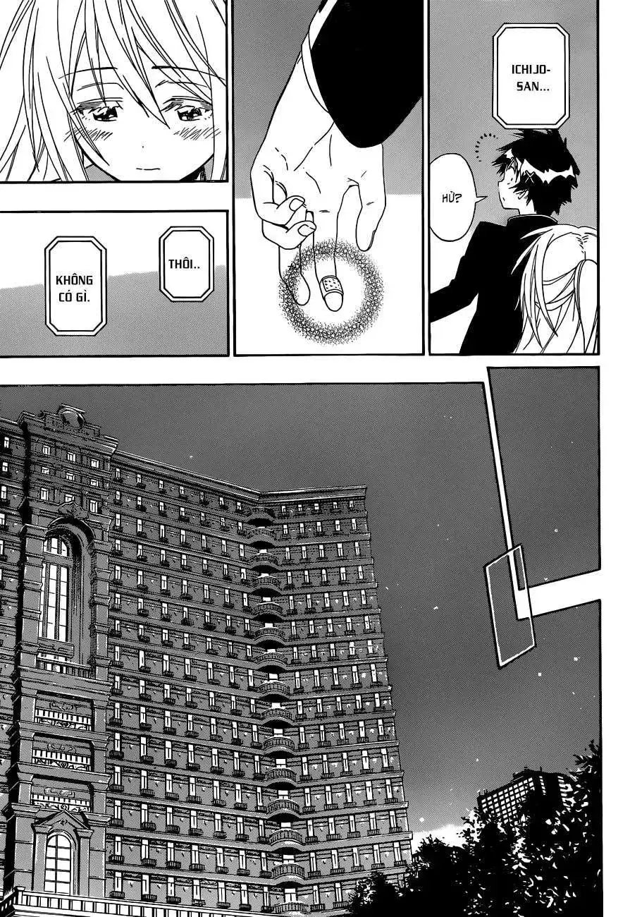 Nisekoi Chapter 138 - Trang 11