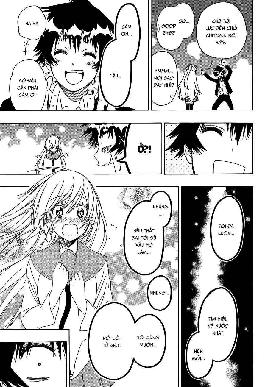 Nisekoi Chapter 138 - Trang 15