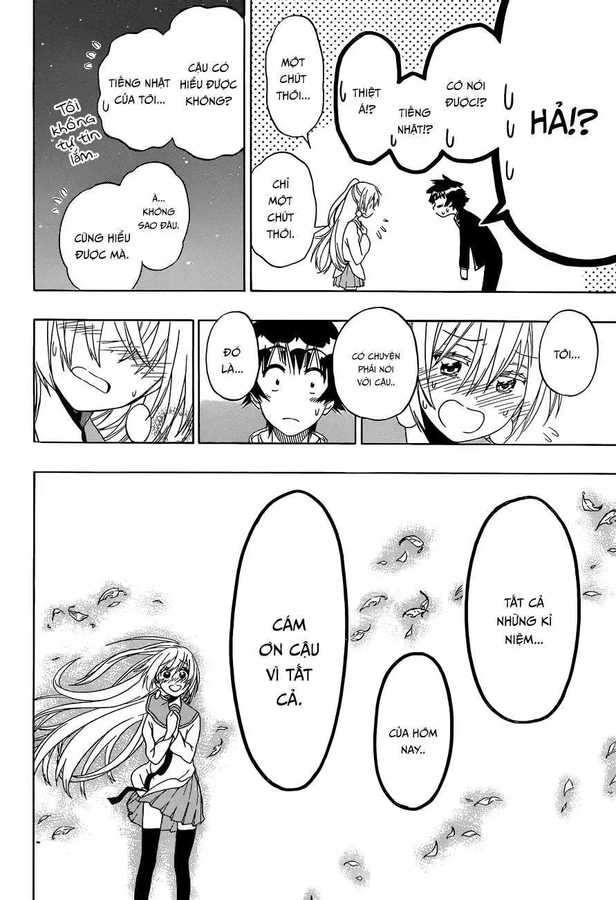 Nisekoi Chapter 138 - Trang 16